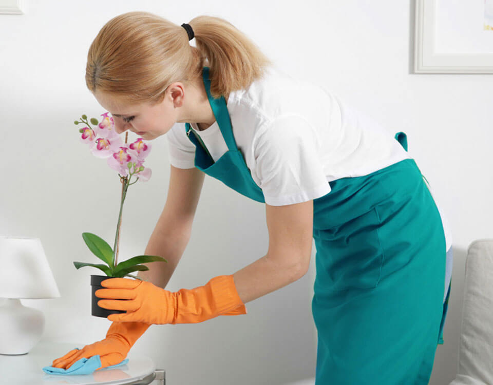 Sydney Eco Cleaning Company